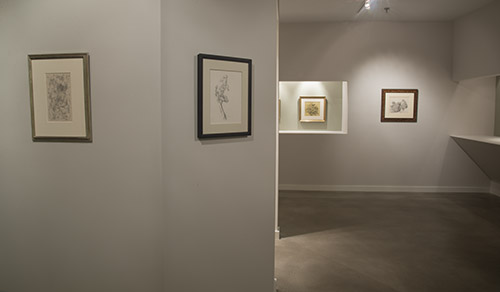 Installation view