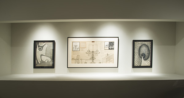 Installation view